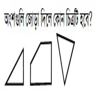 অংশগুলি জোড়া দিলে কোন চিত্রটি হবে?